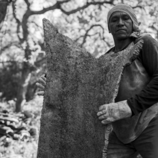 La fotògrafa nord-americana Michele Curel exhibeix la sèrie \