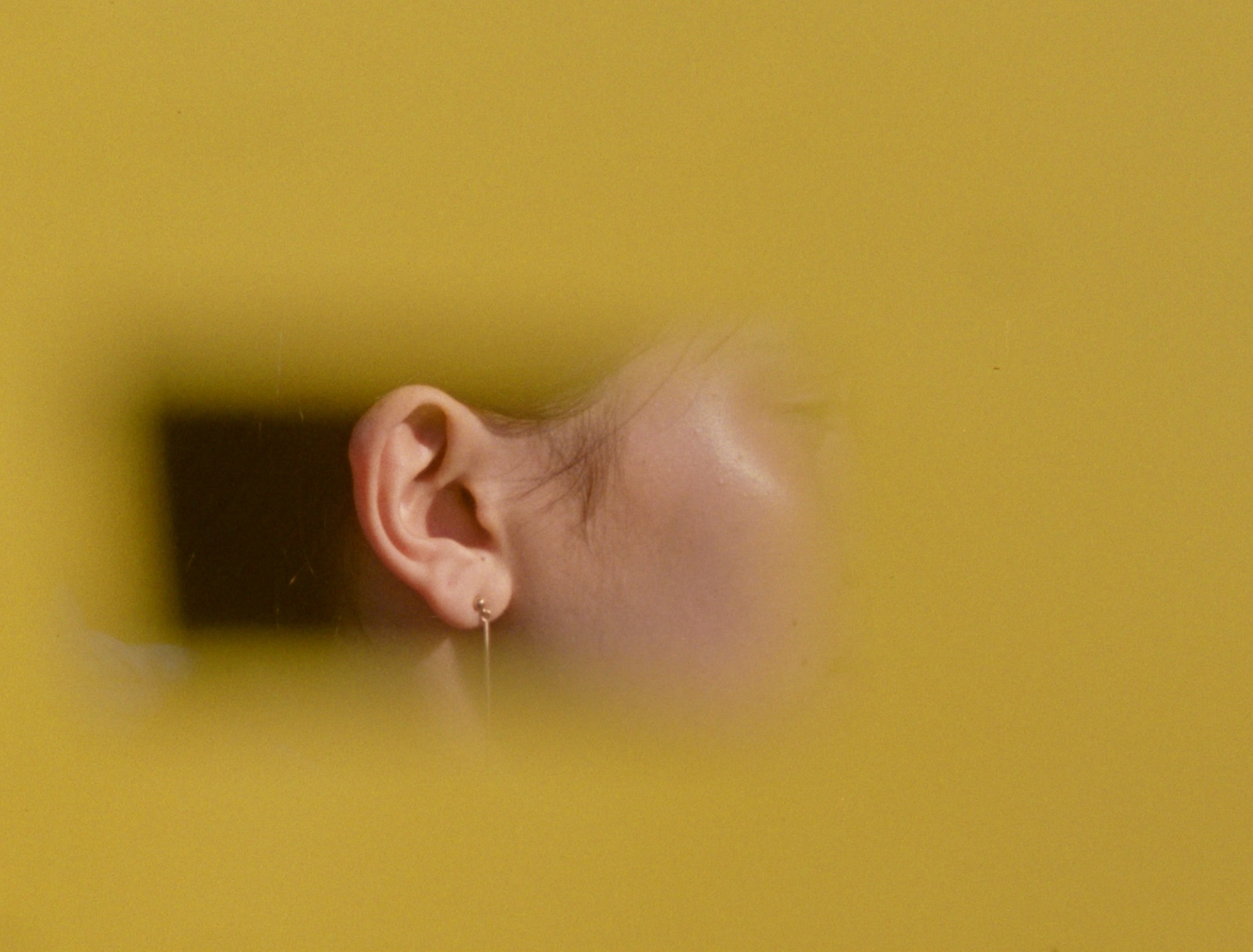 Laida Lertxundi al cicle \