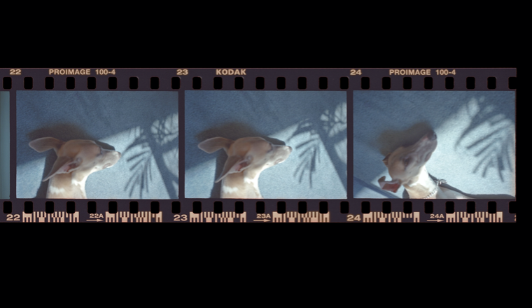 Iñaki Bonillas a ProjecteSD