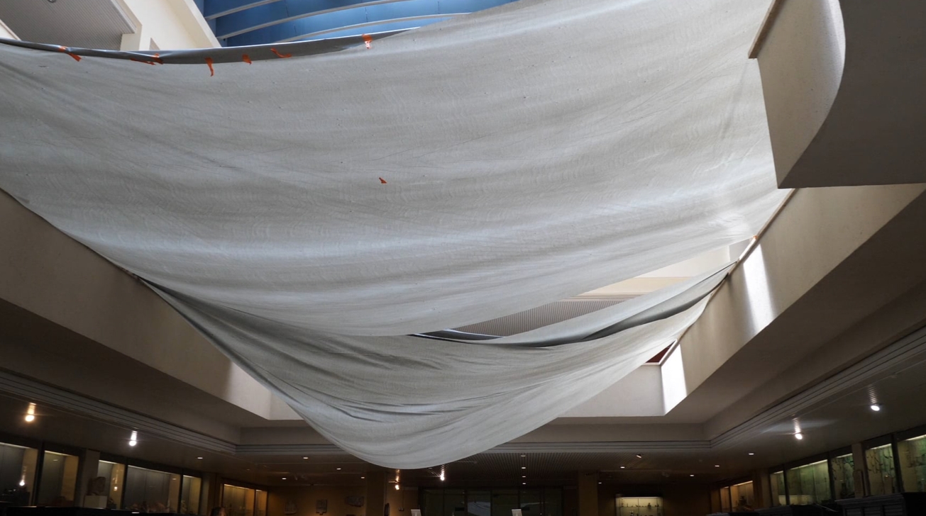 El vídeo “The Queen of Lemons” de Helen Dowling, guanya el Premi Loop Fair 2020