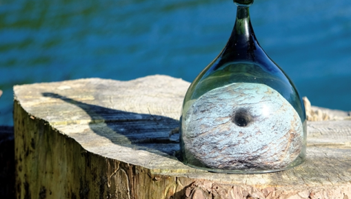 Petra Vlasman al MUME