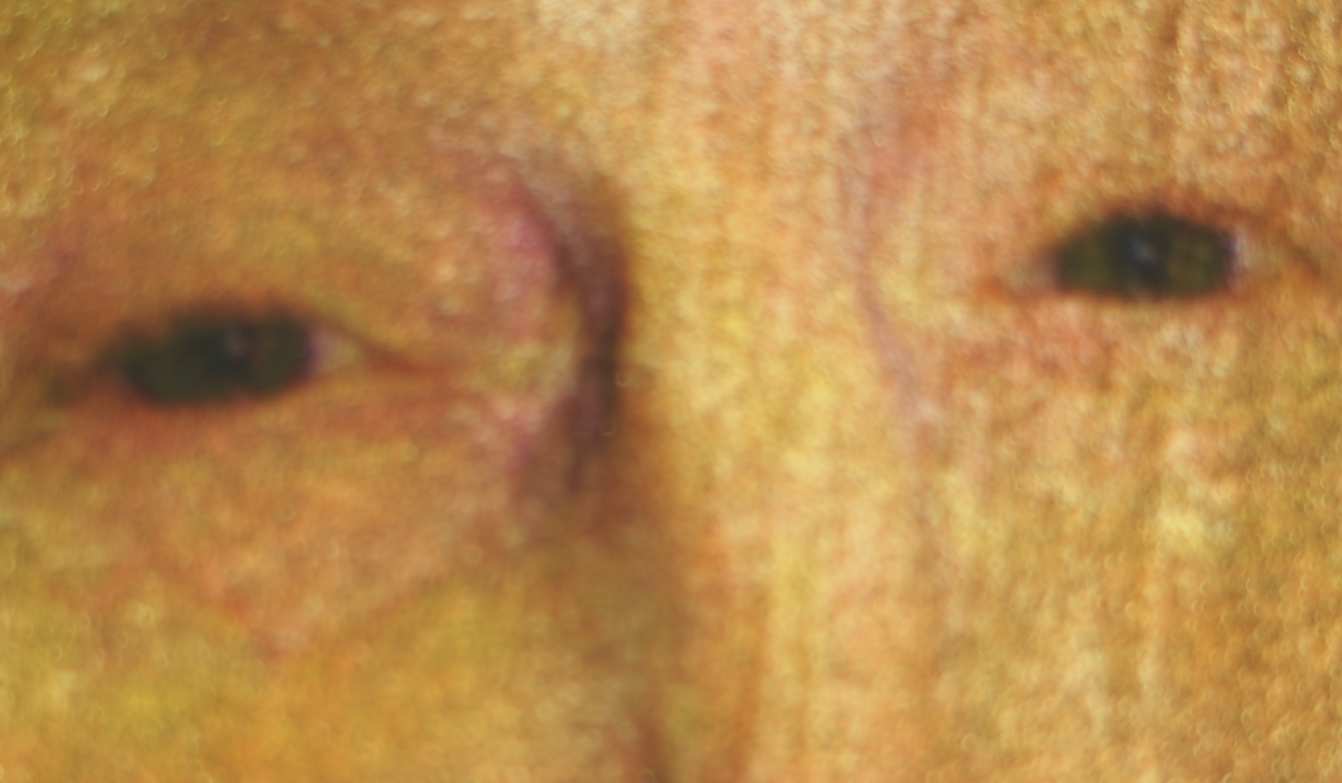 \'No m\'esborro\' a la Fundació Felícia Fuster