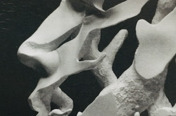 Escultura de Cristina Montero al pati del Centre Cultural la Mercè