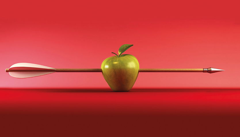 Activitats alternatives al Mercat Medieval