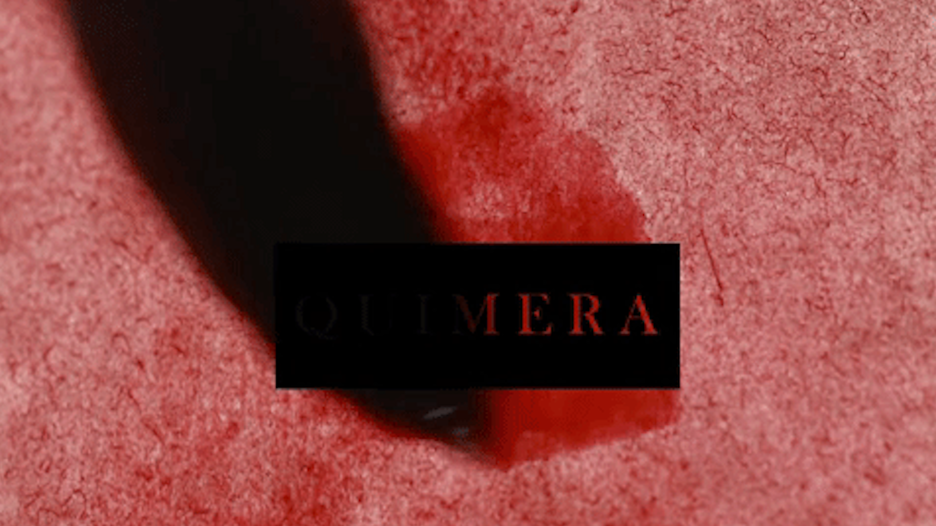 Lili Brik exposa la seva “Quimera” a la galeria Espai Cavallers