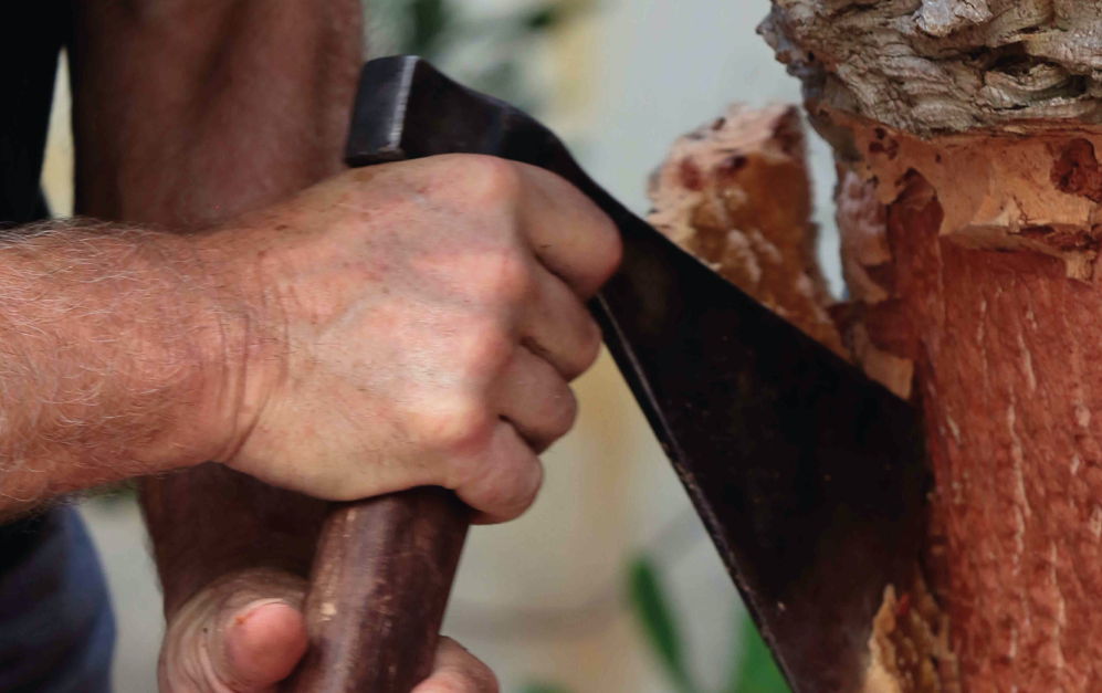 Tot a punt per a la segona edició de \'De l\'arbre al tap, del tap a taula\'