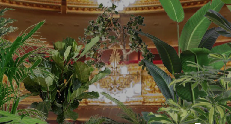 \'Concert pel Biocè\' d\'Eugenio Ampudia al Liceu