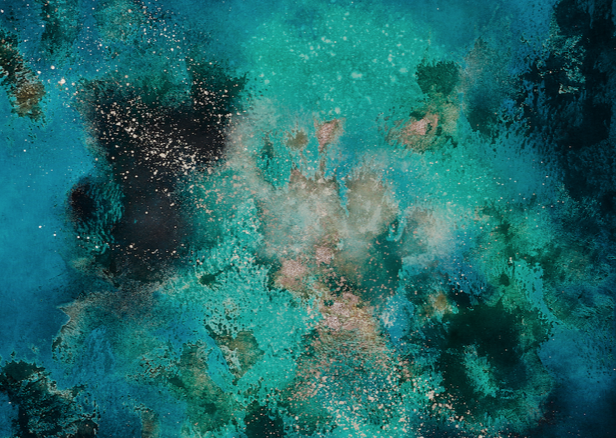 Programació d\'estiu a la sala d\'exposicions \