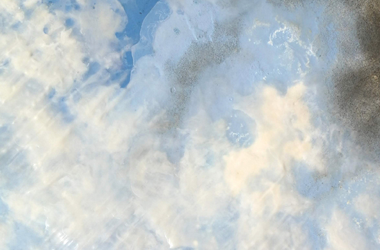 \'Macro Micro Terra\' de Gina Cubeles a la Galeria H2O