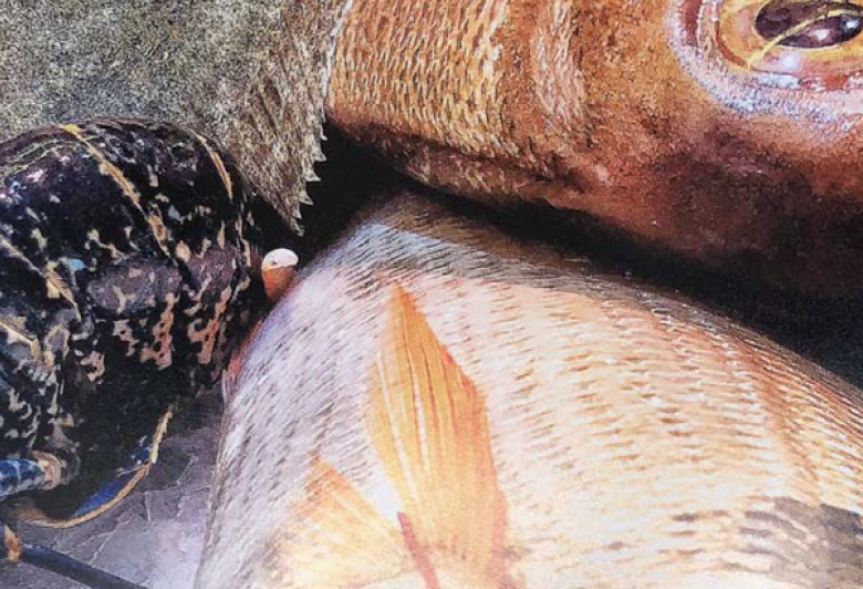 Josep Maria Palou guanya el II Concurs de fotografia del C.N. Aiguablava