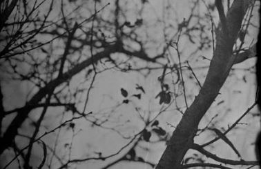 El murmuri de Kati Riquelme al Centre d\'Art Contemporani Piramidón