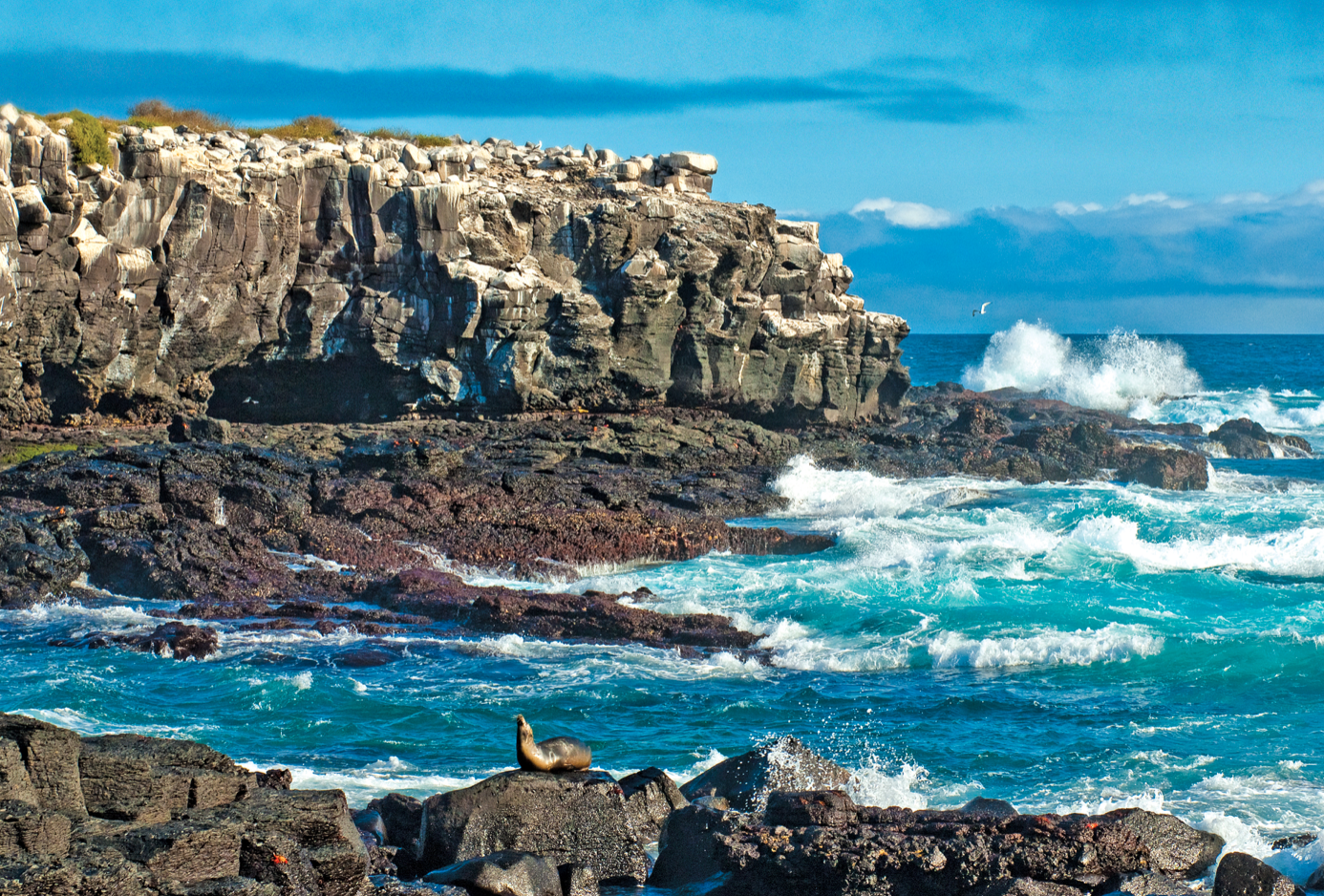 Quo Artis Projectes 2020, artistes i científics aborden l\'emergència climàtica