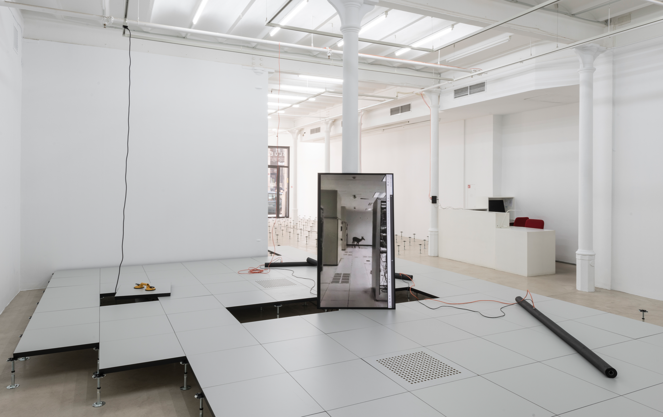 Mario Santamaría a la Blueproject Foundation