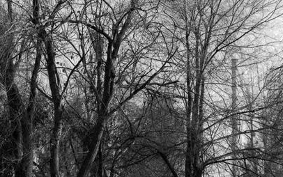 ‘L’ombra del núvol’ a la galeria Alalimón