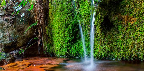 La Casa de Cultura mostra les fonts del Montseny