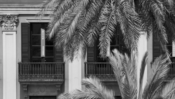 El projecte Traspassant Murs de la Fundació Setba guanya la convocatòria d’Art for Change de “la Caixa”