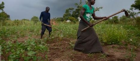 Els indestructibles Alfons Rodríguez i Xavier Aldekoa a l\'Escola Universitària Salesiana de Sarrià