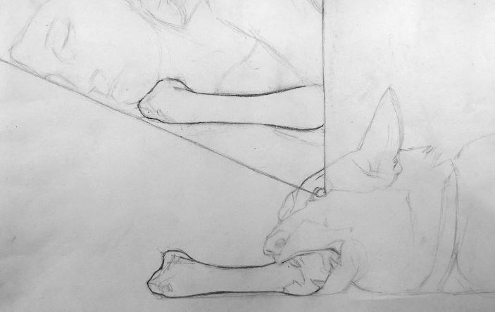 El gos projector de Dionis Escorsa a Halfhouse