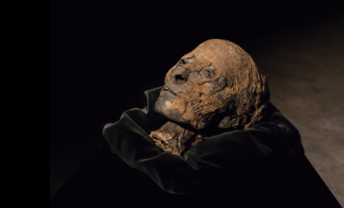 Un cap femení d\'una mòmia egípcia de la Dinastia XVIII serà una de les peces protagonistes en FERIARTE 2019