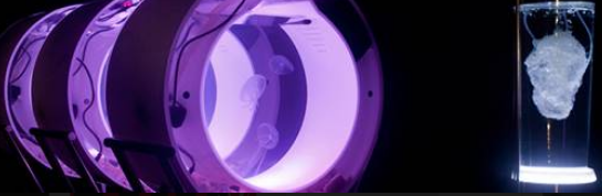 Últims dies per visitar la mostra del Young Gallery Weekend