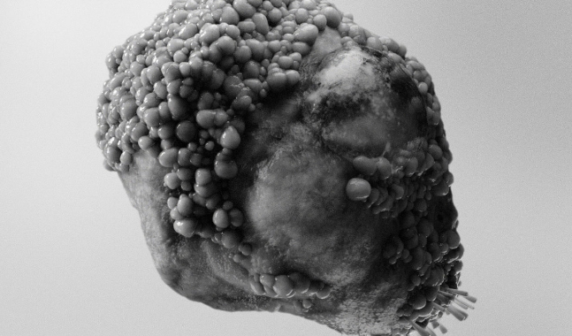 Arriba la 9a edició de Mira Digital Arts Festival