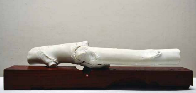 Estesia i NauArt, codis QR per explicar l\'art