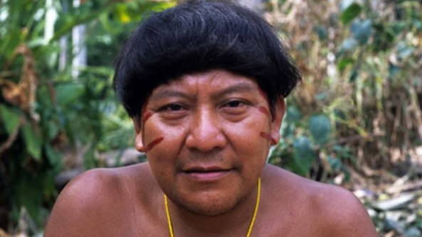 Davi Yanomami, premiat amb el Right Livelihood Award