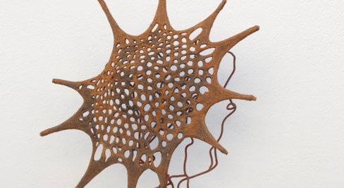 Eveli Adam exposa al CERN