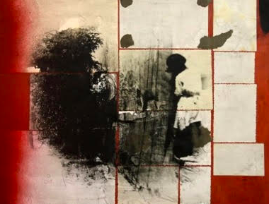 Els Barcelona International Photography Awards (BIPA) ja tenen guanyadors