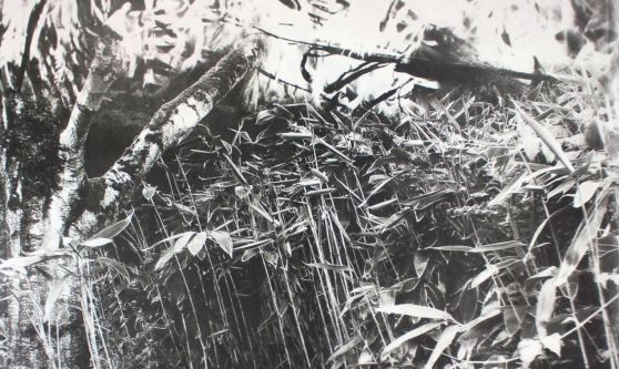 Janosch Jauch a la Galeria Joan Prats