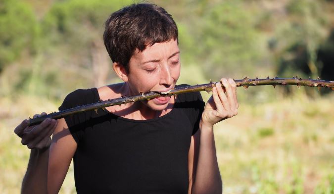 Resum del Cicle AA+AA al Centre Arbar