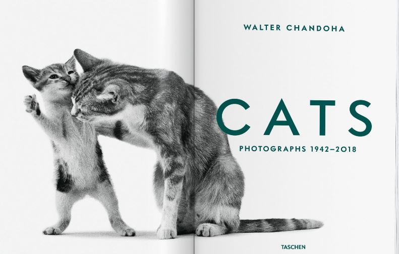 Taschen publica el llibre dels gats de Walter Chandola
