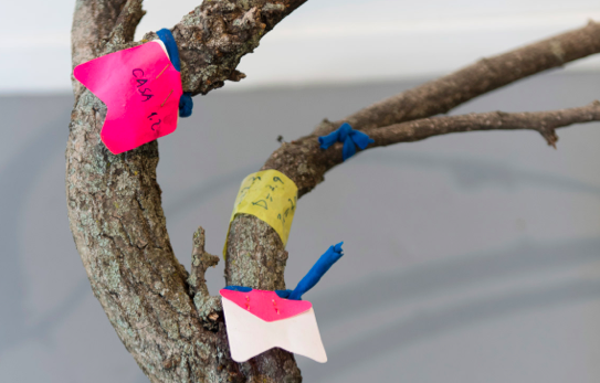 Una investigació sobre la mesura, proper projecte expositiu a la Fundació Cerezales Antonino i Cinia