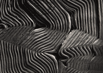 Foto Colectania: Grans icones de la fotografia unides per les seves ressonàncies formals