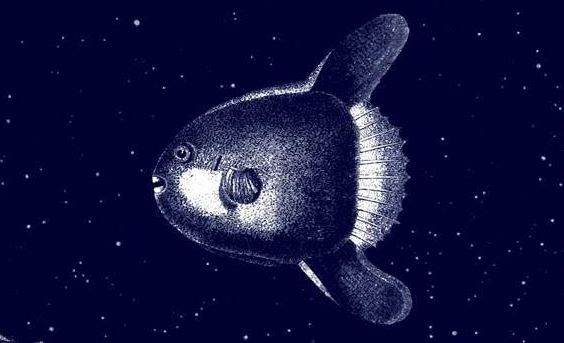 La Mediterrània, protagonista de les nits d’estiu del Museu d’Història de Catalunya