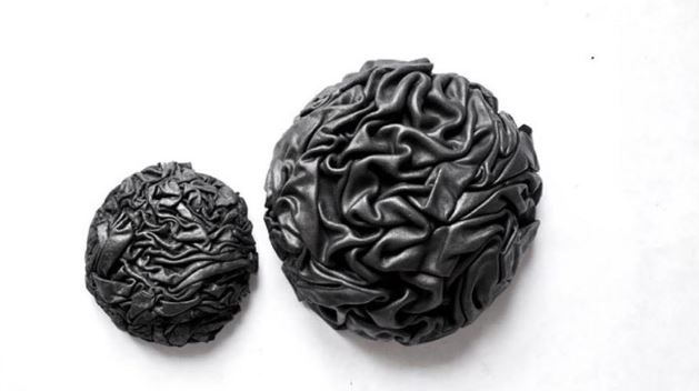 Les irregularitats de Mariko Kumon a La Xina A.R.T.