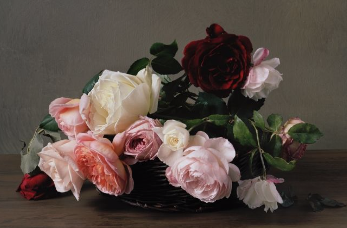 Museu Nacional del Romanticisme participa a PhotoEspaña 2019