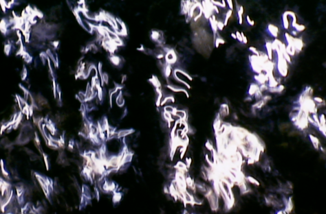 Juan Bufill exposa a l’espai de fotografia del vestíbul de la Fundació Joan Miró