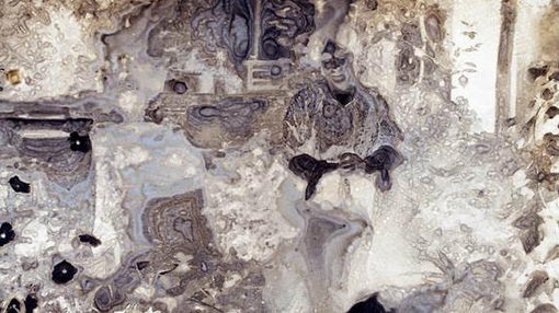 Foto Colectania: Conversa entre Joan Fontcuberta i Xavier Antich