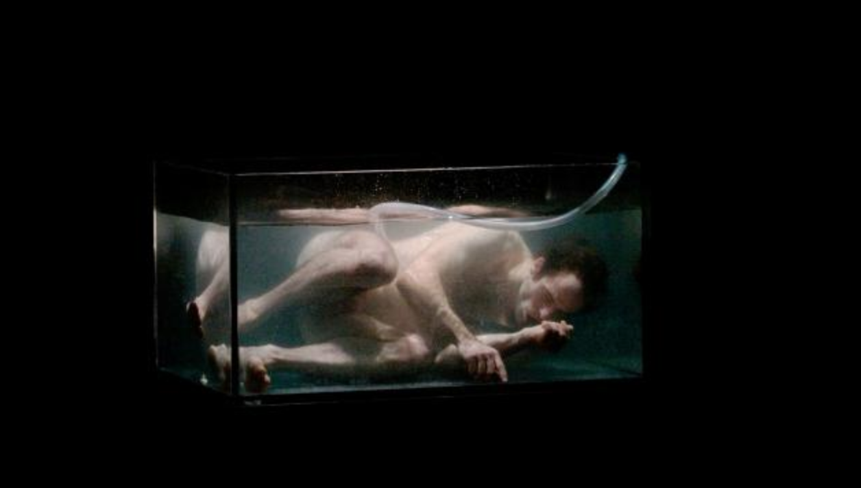 Naves Matadero estrena \