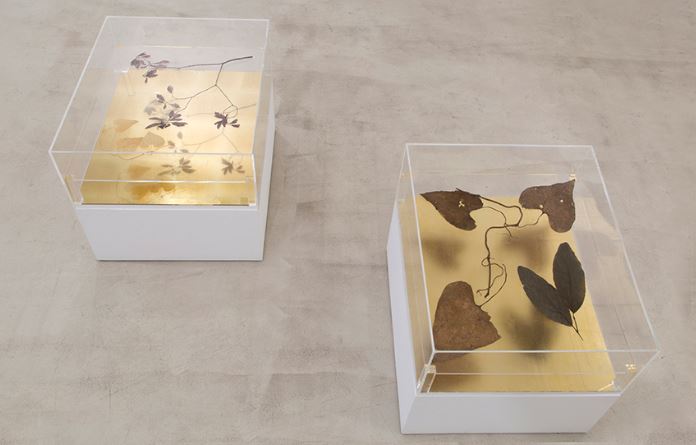 Últims dies de Hannah Collins a la Galeria Joan Prats