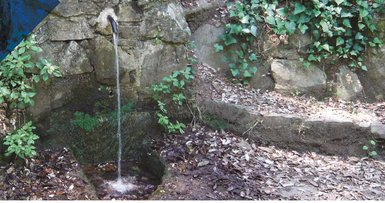 Nit dels museus a Casa de l\'Aigua