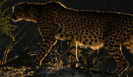 Valid foto exposa els premis Pollux i Julia Margaret Cameron