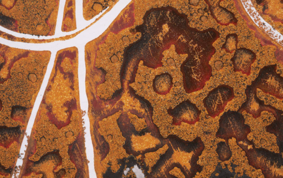 La Fundació Fita presenta \