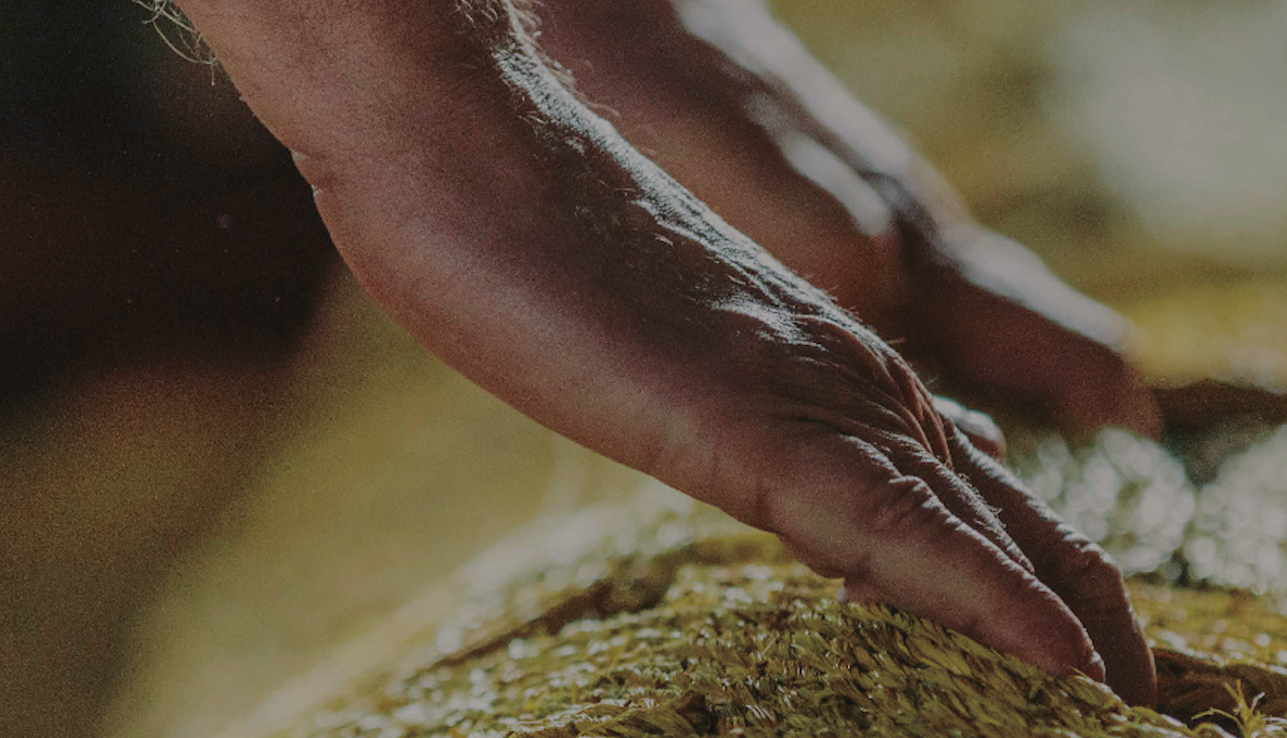 Tabacalera acull l\'exposició \