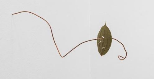 Les escultures de Joana Escoval a la Galeria Bombon