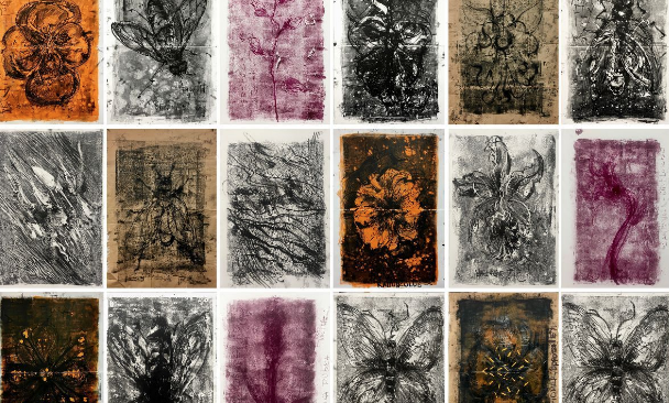 Espai Visor presenta \