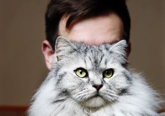 Catawiki subhasta una col·lecció fotogràfica sobre el càncer infantil