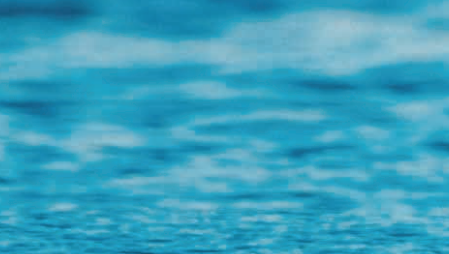 Sisena edició del Festival MOT 2019