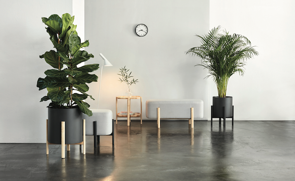 El disseny de Barcelona al Fuorisalone 2019